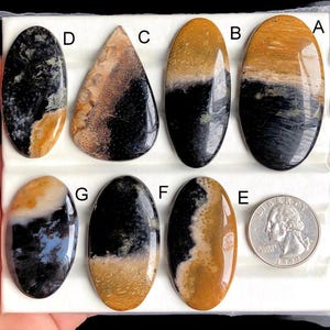 Selected Palm Root Agate Cabochons, Natural Semi Precious Gemstone For Jewelry Making, Natural Agate Wire Wrapped Handmade Jewelry LOT-442