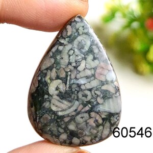 Cabujón fósil crinoide, piedra preciosa semipreciosa natural para la fabricación de joyas, joyería elegante de piedra preciosa pulida a mano fósil crinoide