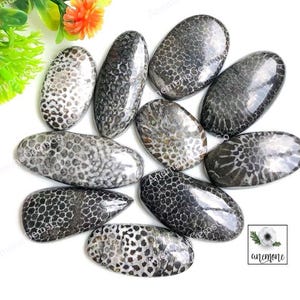 Cabochão de fóssil de cobra preta 22-34 mm aproximadamente, formato e tamanho mistos, lote com 10 peças, como na foto, fóssil de cobra preta para uso em joias artesanais 61620