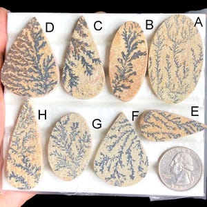 Ausgewählte Dendrit Fossil Cabochon, Natürliche Dendrit Fossil Handgemachte Edelstein für die Schmuckherstellung, Wire Wrapped Anhänger LOT-274