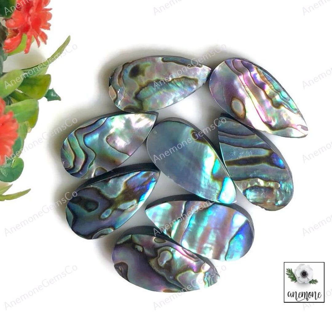 Abalone Shell Cabochons 10x20mm Pear Shape Gemstone, Calibrated Abalone ...