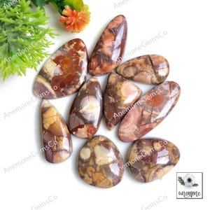 Cabochon en jaspe oeil d'oiseau, 21-30 mm environ, mélange de formes, lot de 9 pièces, identique à la photo, pendentifs et supports de cabochons polis à la main, jaspe oeil d'oiseau 62413