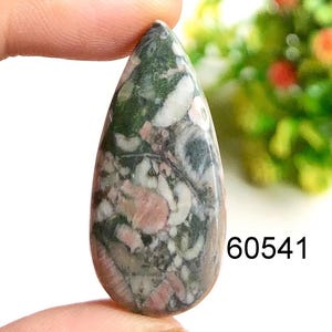 Cabujón fósil de crinoideo, piedra preciosa semipreciosa natural para hacer joyas, piedra preciosa fósil de crinoideo pulida a mano, joyería elegante