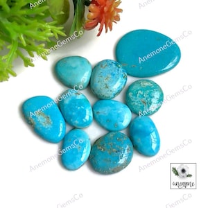 Arizona turkoois cabochon, ca. 10-17 mm, gemengde vormen 10 stuks hetzelfde als afbeelding natuurlijk turkoois Gebruik voor ambachtelijke sieraden, designerringen 62505