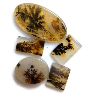 Natürliche Dendriten Achat Cabochons 9-22mm Mix Form 5 Pcs Lot, Natürlicher Halbedelstein Für Schmuckherstellung, Handpoliert 58234