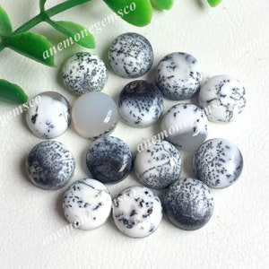 10 szt. Dendrytowy Opal Kaboszon 10 MM, Najwyższej Jakości Dendrytyczny Agat Kaboszon Do Tworzenia Biżuterii