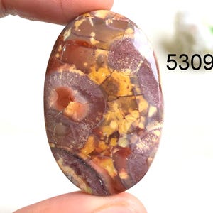 Cabochon en jaspe oeil d'oiseau, pierre semi-précieuse naturelle pour la fabrication de bijoux, pierre précieuse de guérison