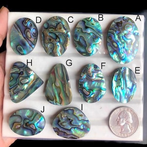 Utvald Abalone Shell Cabochon, Naturlig Snäckskal Handgjord Ädelsten För Smyckestillverkning, Handpolerade Cabochonhängen Smycken LOT - 1044
