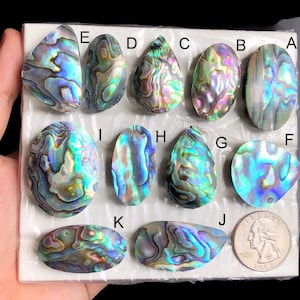 Geselecteerde abalone schelp cabochon, natuurlijke schelp handgemaakte edelsteen voor het maken van sieraden, handgepolijste cabochon hangers sieraden LOT-333