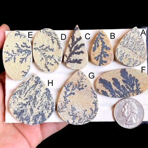 Ausgewählte Dendrit Fossil Cabochon, Natürliche Dendrit Fossil Handgemachter Edelstein Für Schmuck, Wire Wrapped Schmuck LOT 35