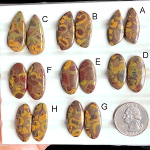 Selected Fruit Jasper Earring Pairs Gemstone, Natural Semi Precious Gemstone For Jewelry Making, Jasper Boho Style Pairs Jewelry LOT-433
