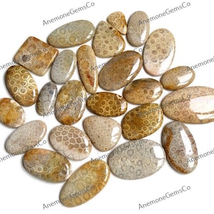 Lote de atacado de fóssil de coral cabochão, por peso com diferentes formas e tamanhos, uso para fabricação de joias, cabos polidos à mão, pedras preciosas curativas