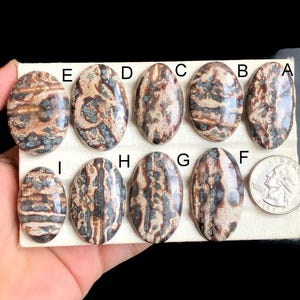 Cabochon en jaspe peau de léopard sélectionné, pierre semi-précieuse naturelle pour la fabrication de bijoux, pendentifs en cristal de peau de léopard LOT-57