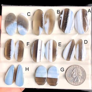 Può includere: Una collezione di pietre preziose di opale lucide in varie forme e colori. Gli opali presentano un mix di tonalità marroni, bianche e blu, alcuni con motivi a strisce. Una moneta da un quarto di dollaro USA è inclusa per riferimento alle dimensioni.
