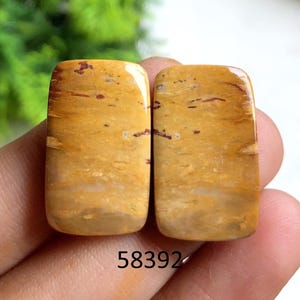 Paires de cabochons de boucles d'oreilles en agate de racine de palmier, Pierre semi-précieuse naturelle pour la fabrication de boucles d'oreilles, Paires de pierres précieuses de guérison, Pierre de naissance