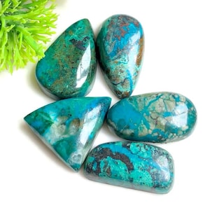 Chrysocolla cabochon 18-25 mm, gemengde vormen, 5 stuks zoals op afbeelding, losse edelsteen voor het maken van sieraden, Chrysocolla ambachtelijke sieraden 62107