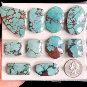 May include: A collection of turquoise gemstones in various shapes, including oval, rectangular, and freeform. The stones feature a striking blue-green color with brown matrix patterns. A US quarter is included for size reference.