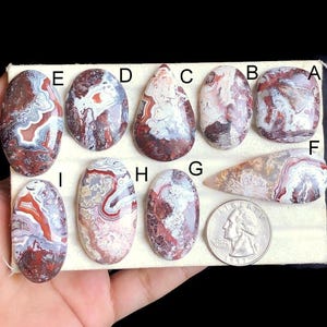 Cabochon d'agate en dentelle folle sélectionnée, pierre semi-précieuse naturelle pour la fabrication de bijoux, bijoux pendentifs cabs polis à la main LOT 79
