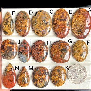 Geselecteerde oceaanjaspis cabochon, natuurlijke halfedelstenen losse edelsteen voor het maken van sieraden, oceaanjaspis westerse stijl sieraden LOT-237