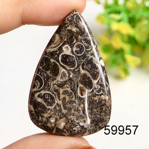 Turtella jaspis cabochon, natuurlijke halfedelsteen voor het maken van sieraden, jaspis handgepolijste edelsteen cadeau-sieraden