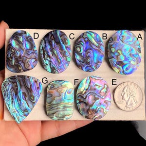 Ausgewählte Abalone Shell Cabochon, Natürliche Sea Shell Handmade Edelstein für die Schmuckherstellung, handpoliert Cabs Anhänger Schmuck LOT 73