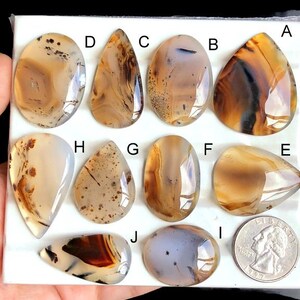 Peut inclure: Une collection de pierres d'agate polies de différentes formes et couleurs, notamment marron, beige et blanc. Les pierres sont présentées sur une surface blanche, avec une pièce de monnaie pour la comparaison des tailles. Les pierres d'agate ont des motifs et des textures uniques.