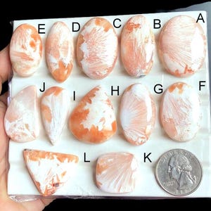 Ausgewählte rosa Scolecit Cabochon, natürlicher Halbedelstein für die Schmuckherstellung, Scolecit Draht eingewickelt Anhänger Schmuck LOT-250