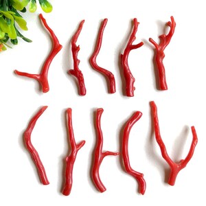10 stuks natuurlijke rode koraalstaaf, ca. 2,00 inch, topkwaliteit rode koraal ruwe stokken, losse edelsteen, sieraden maken bulk edelsteen,(13))
