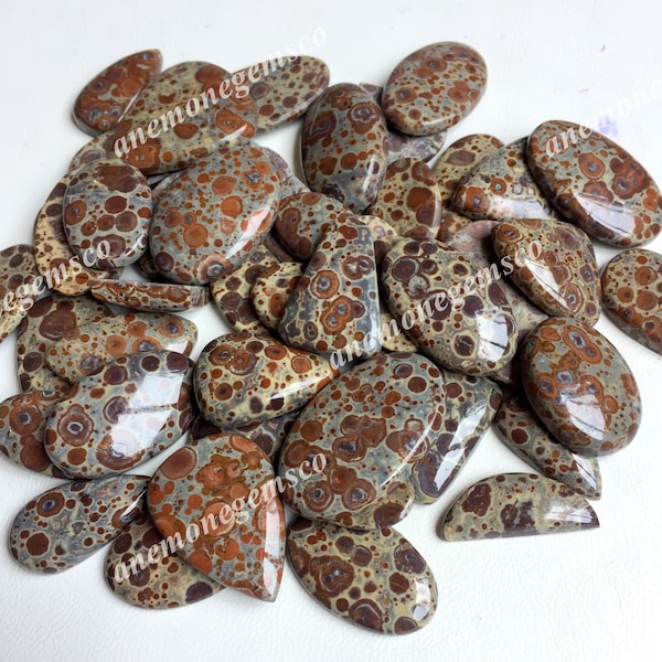 Asteroid Jasper Cabochon Wholesale Lot, Mix Shapes and Size Asteroid Jasperfor jewelry making