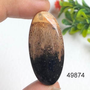 Ágata de raiz de palmeira Cabochão de alta qualidade, pedra preciosa solta para fazer joias artesanais, multicoloridas, Indonésia. Preço de atacado