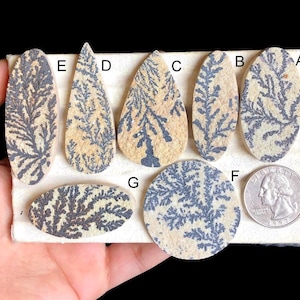 Geselecteerde dendrietfossiele cabochon, natuurlijke dendrietfossiele handgemaakte edelsteen voor het maken van sieraden, draadgewikkelde sieraden LOT-96