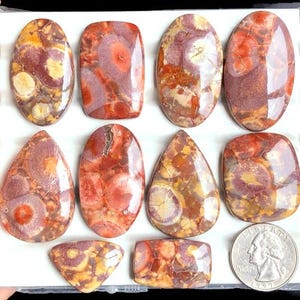 Cabochon en jaspe oeil d'oiseau sélectionné, pierre semi-précieuse naturelle pour la fabrication de bijoux, bijoux de collier de créateur en jaspe LOT-351