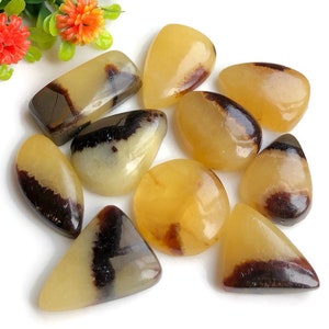 Cabochon Septariani Gialli, da 17 a 26 mm circa, forme e dimensioni miste, lotto da 10 pezzi, pietre semipreziose per la creazione di gioielli, cristallo curativo 56895