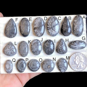 Geselecteerde zwarte snack fossiele edelsteen cabochon, natuurlijke halfedelsteen voor boho-sieraden, zuidwestenstijl en handgemaakte ambachtelijke LOT-101