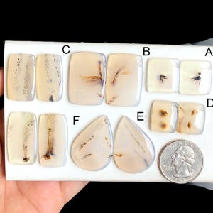 Paires de boucles d'oreilles en agate dendrite sélectionnée, boucles d'oreilles pendantes de créateur en agate dendrite de qualité supérieure, bijoux faits main LOT-185