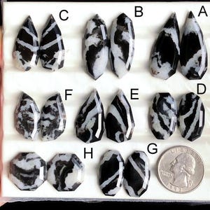 May include: Assortment of black and white zebra jasper gemstones in various shapes, including teardrop, oval, and faceted cuts. A US quarter is included for size reference. The gemstones display unique patterns and polished surfaces.