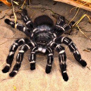 Crochet pattern. Amigurumi Spider. Zebraknee Tarantula. DIY crochet tutorial PDF. image 8