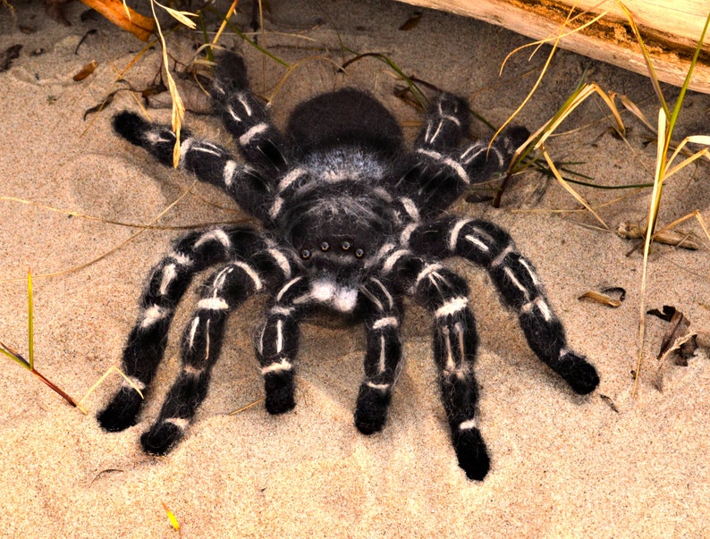 Crochet pattern. Amigurumi Spider. Zebraknee Tarantula. DIY crochet tutorial PDF. image 8