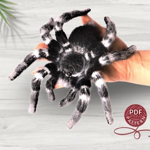 Crochet pattern. Amigurumi Spider. Whiteknee Tarantula. DIY crochet tutorial PDF. image 1