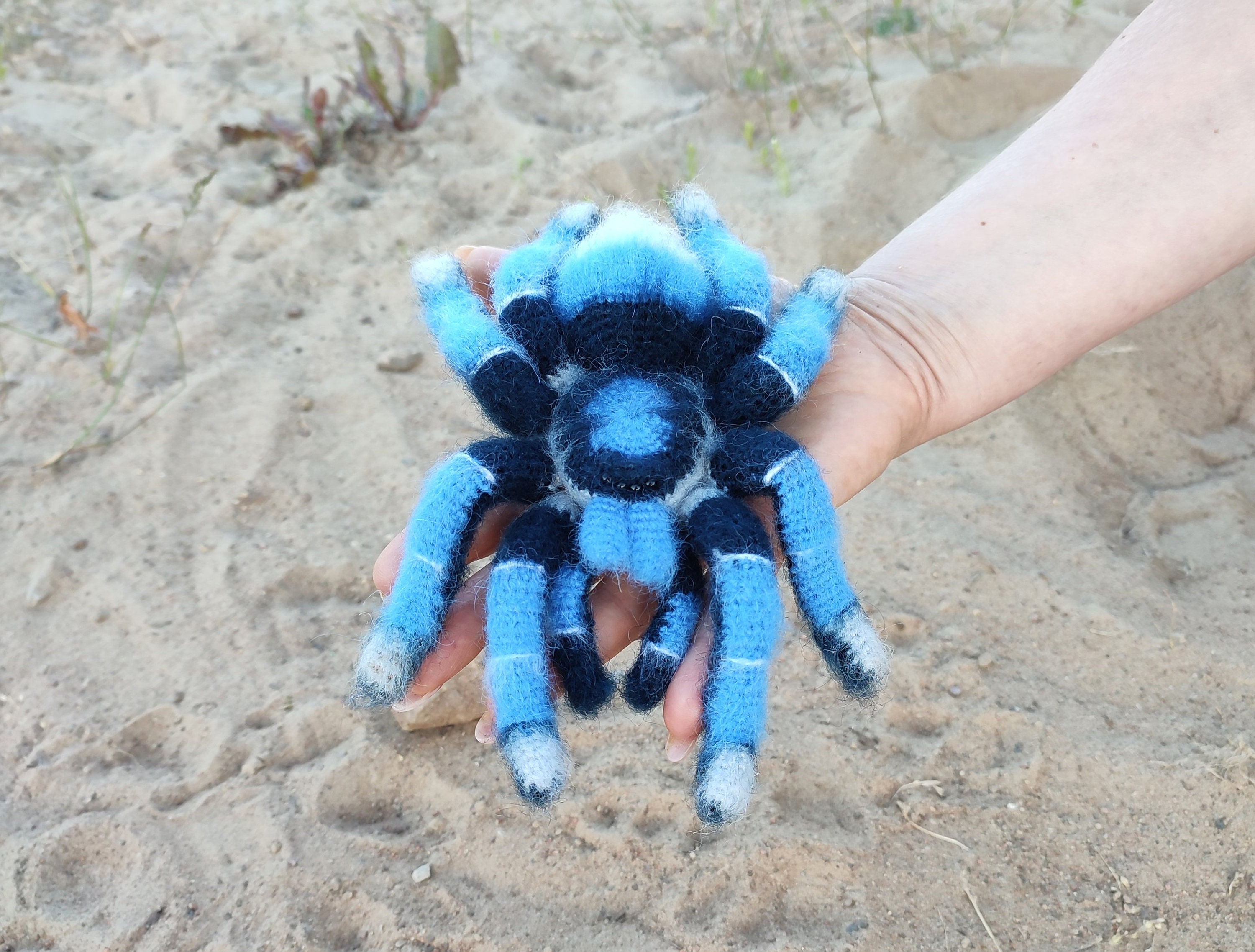 かぎ針編みのパターン。あみぐるみクモ。青いタランチュラ。DIY かぎ針