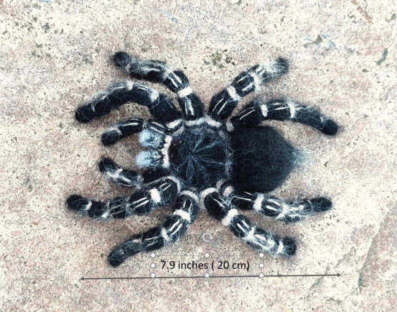 Crochet pattern. Amigurumi Spider. Zebraknee Tarantula. DIY crochet tutorial PDF. image 2