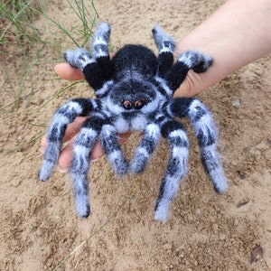 Crochet pattern. Amigurumi Spider. Whiteknee Tarantula. DIY crochet tutorial PDF. image 8