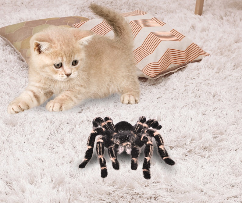 Crochet pattern. Amigurumi Spider. Zebraknee Tarantula. DIY crochet tutorial PDF. image 5