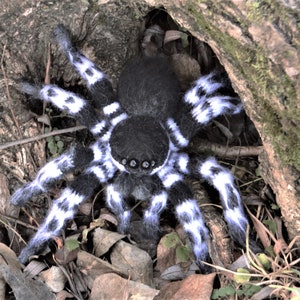 Crochet pattern. Amigurumi Spider. Whiteknee Tarantula. DIY crochet tutorial PDF. image 7