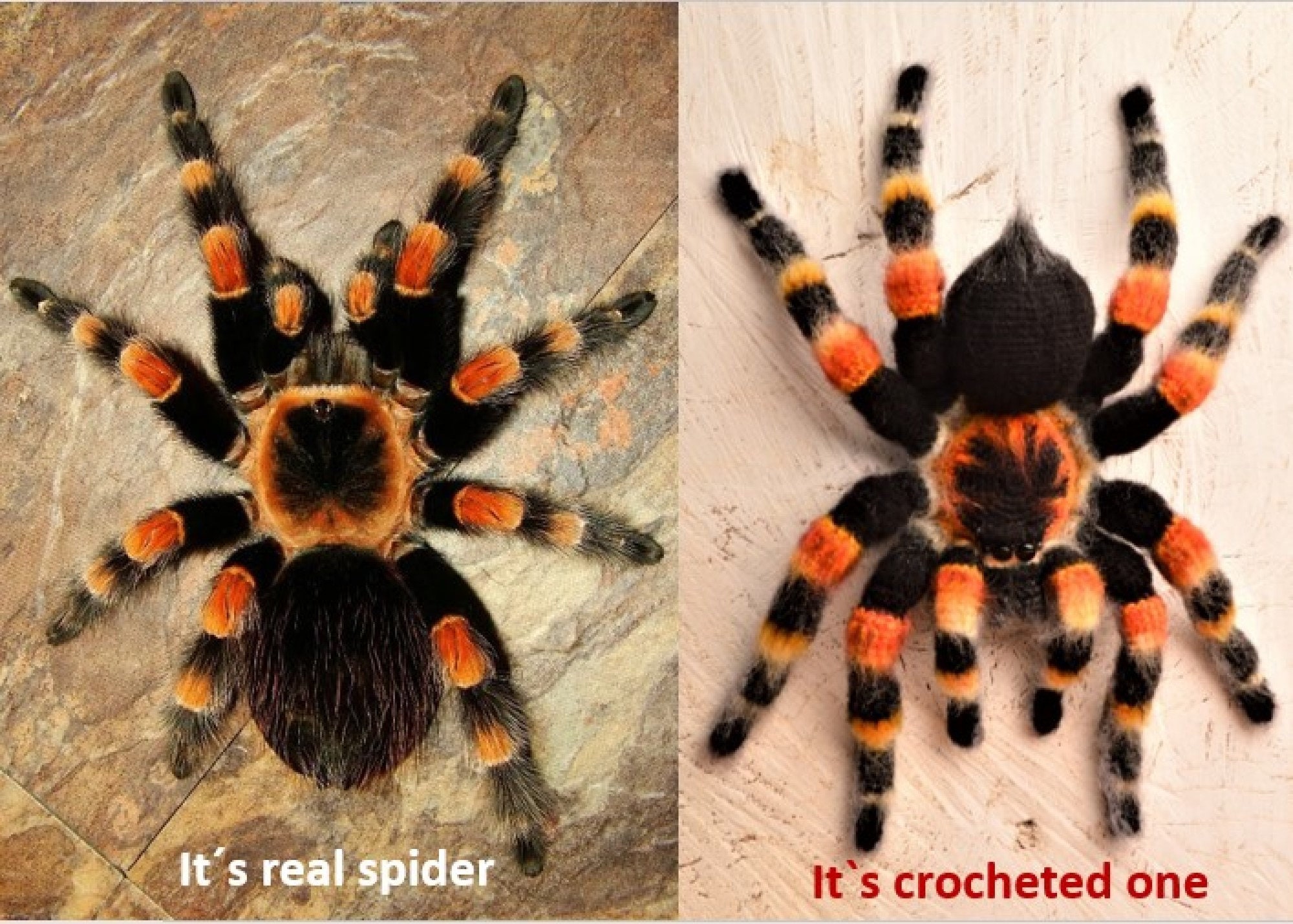 32 Spider Crochet Patterns for Cute, Creepy, and Giftable Makes 8 Amigurumi Mexican Redknee Tarantula. Crochet imitation
