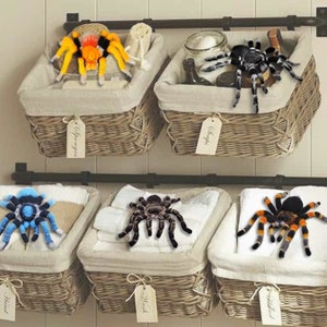 Crochet pattern. Amigurumi Spider. Zebraknee Tarantula. DIY crochet tutorial PDF. image 10