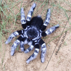 Crochet pattern. Amigurumi Spider. Whiteknee Tarantula. DIY crochet tutorial PDF. image 2