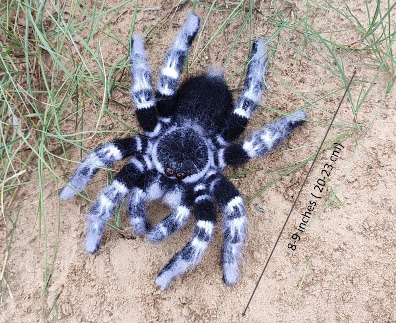 Crochet pattern. Amigurumi Spider. Whiteknee Tarantula. DIY crochet tutorial PDF. image 2