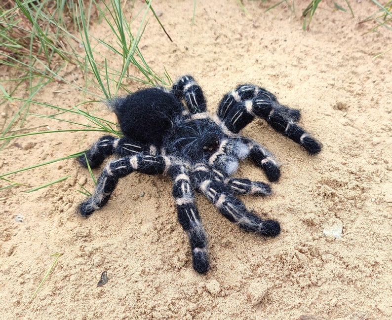 Crochet pattern. Amigurumi Spider. Zebraknee Tarantula. DIY crochet tutorial PDF. image 6