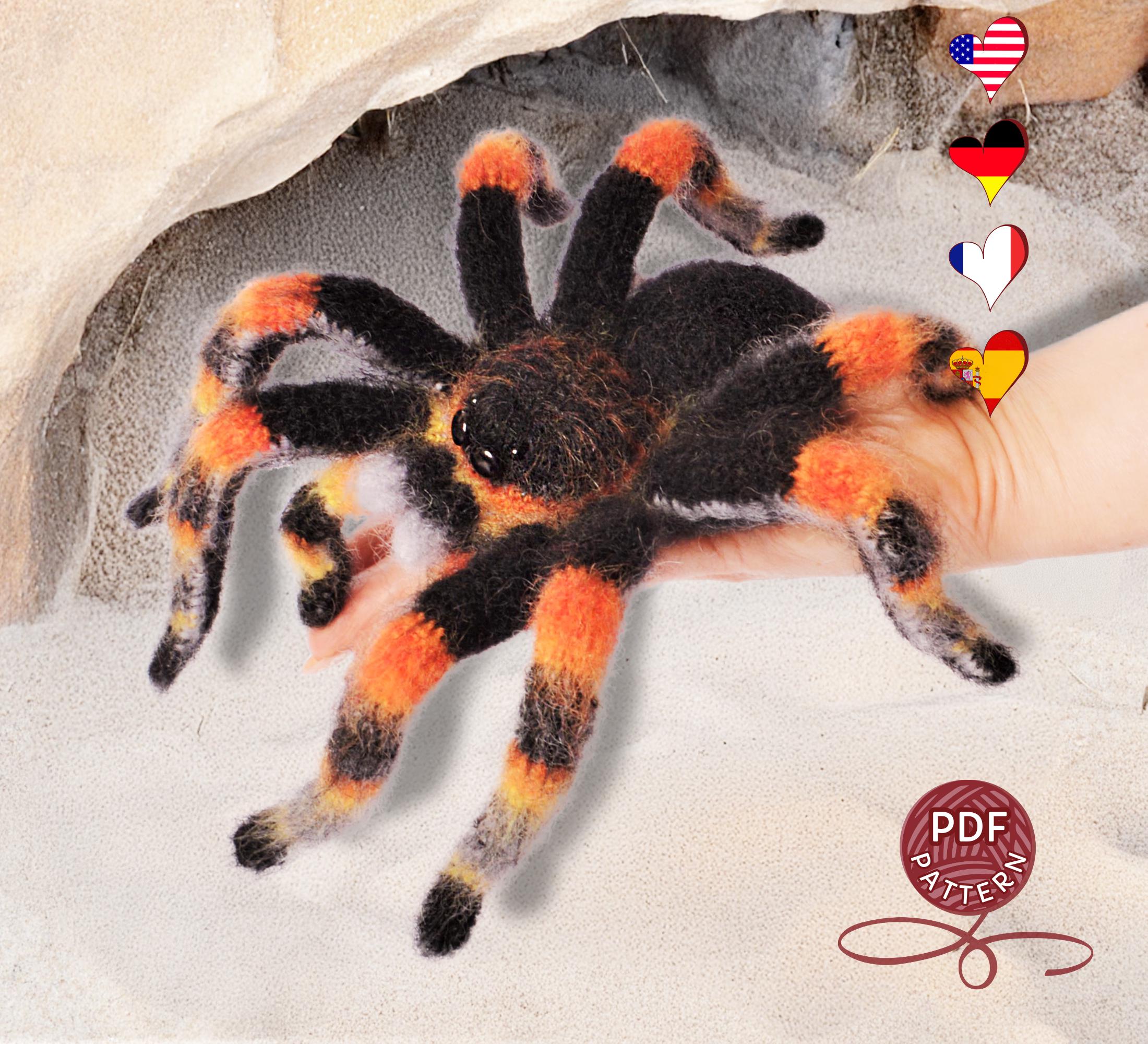 thumbnail interactive-video image 1 of Mexican Red-Kneed Tarantula Setup: Complete Kit 1 of 10